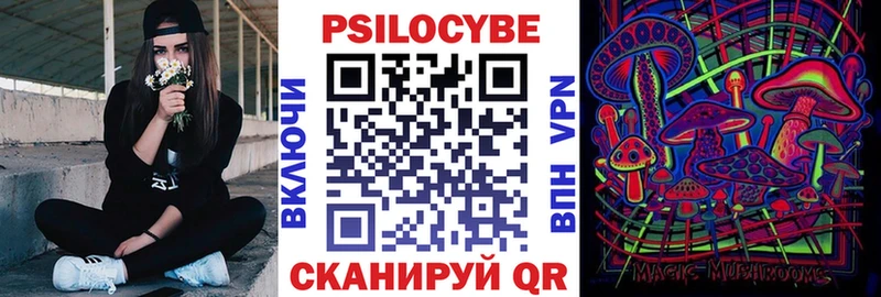 Купить где  Городище  Псилоцибиновые грибы GOLDEN TEACHER 