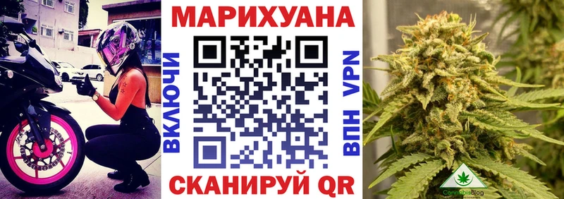 Купить закладки  Городище  Каннабис тримм 